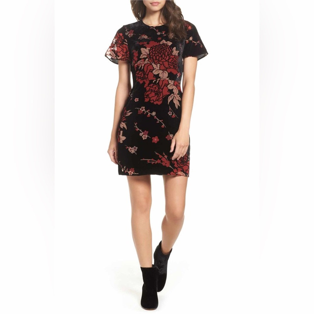 Velvet Burnout French Connection Dress | Size 4